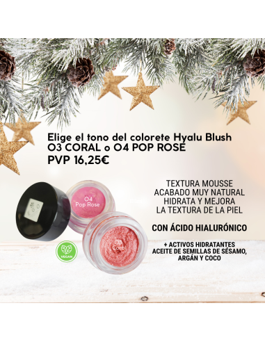 SET ESPECIAL NAVIDAD MAKE UP