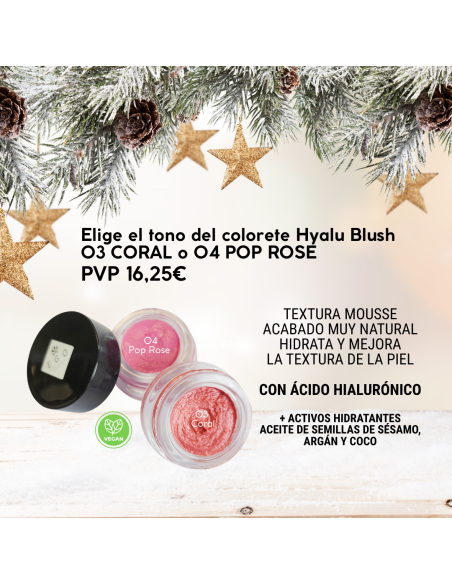 SET ESPECIAL NAVIDAD MAKE UP