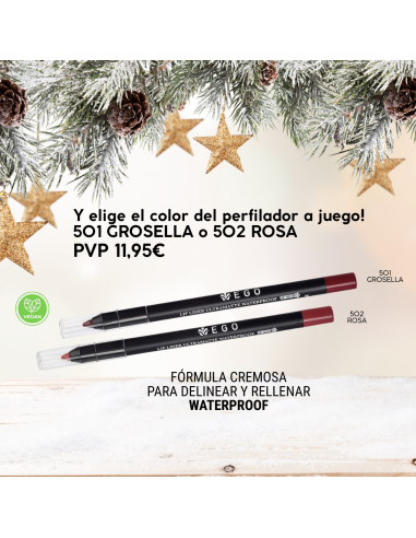 SET ESPECIAL NAVIDAD MAKE UP